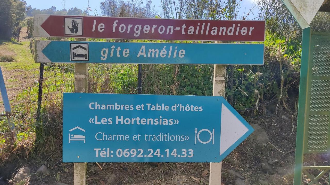 Chambres Et Table D'Hote Les Hortensias La Plaine des Cafres Exterior foto